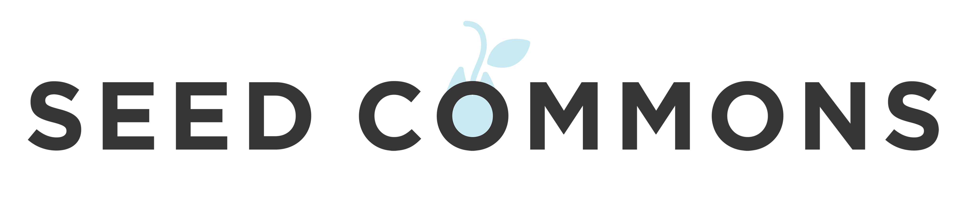 Seed